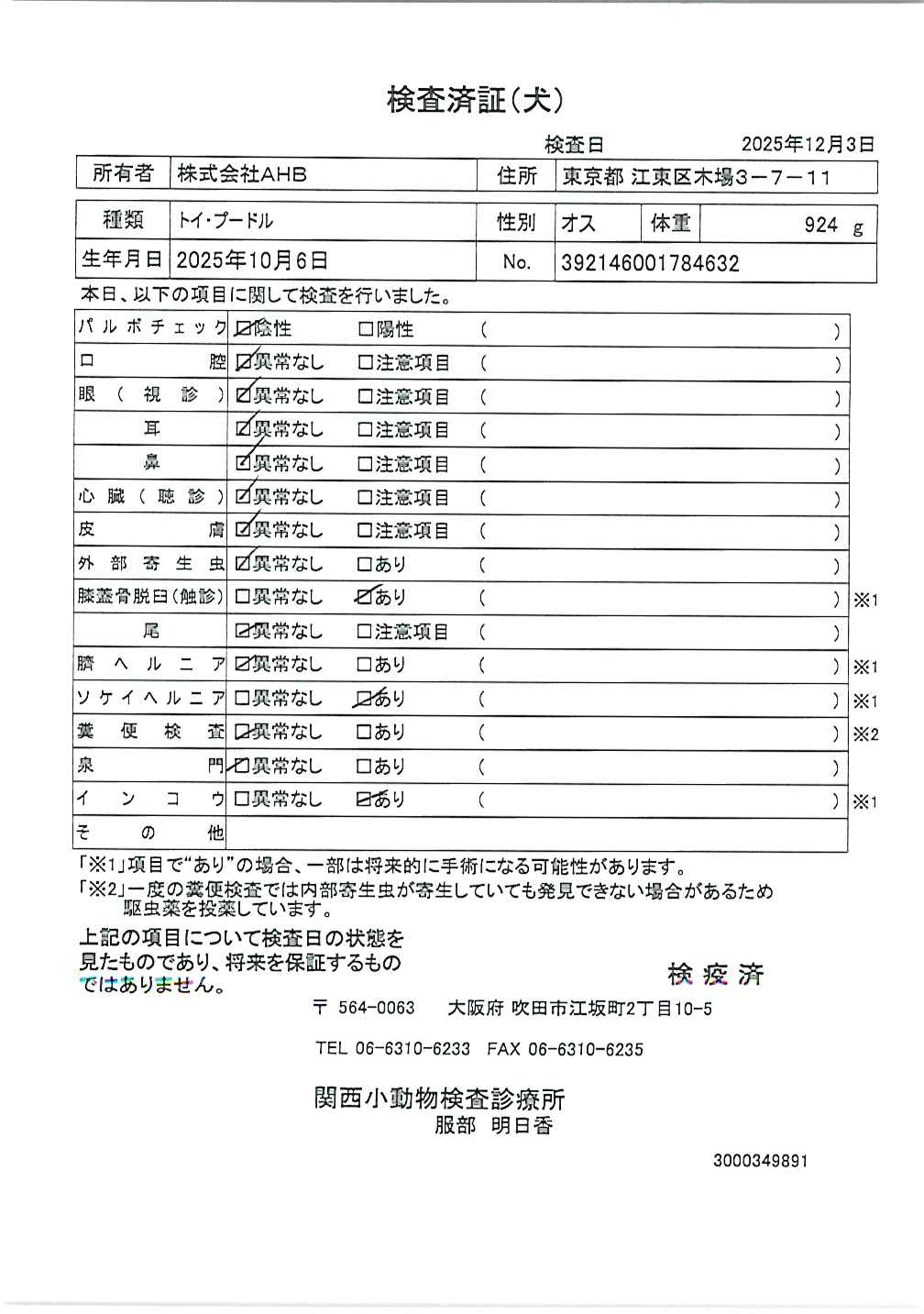 トイ・プードル