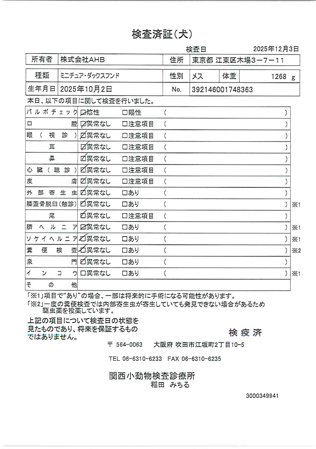ミニチュア・ダックスフンド