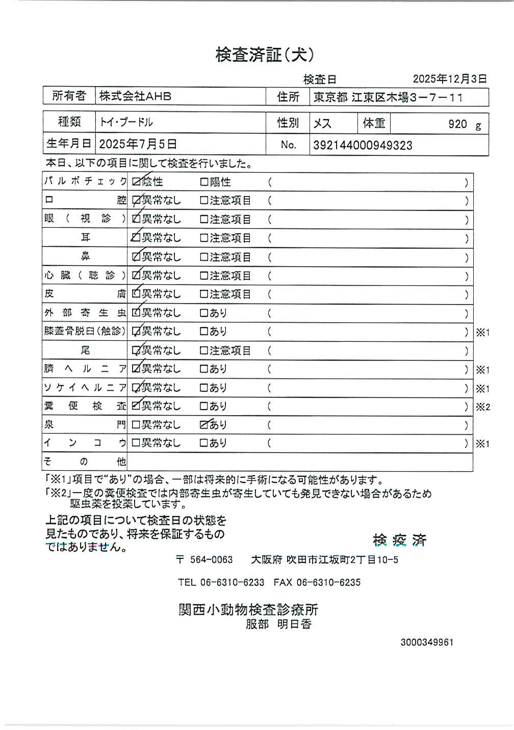 トイ・プードル
