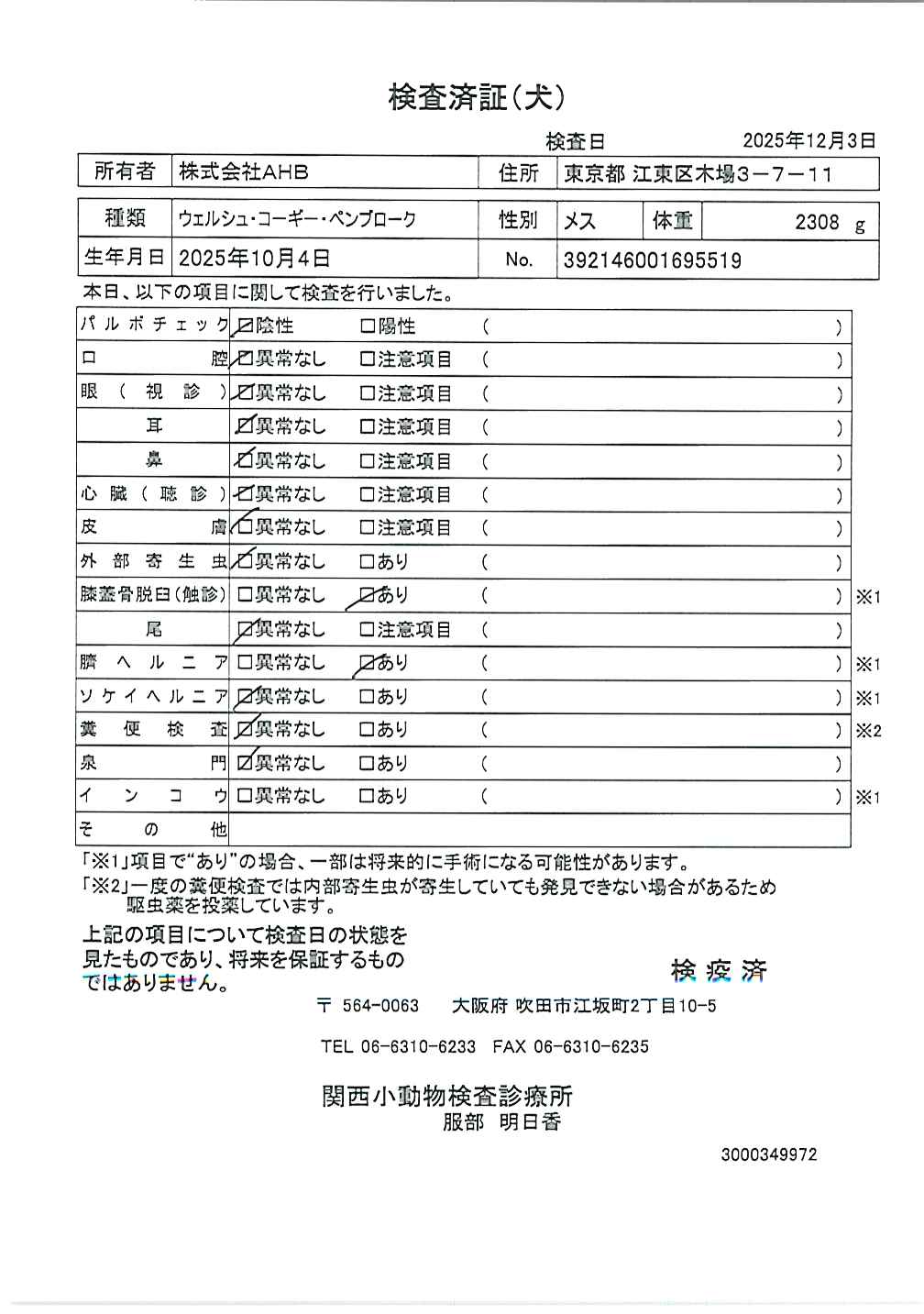 ウェルシュ・コーギー・ペンブローク
