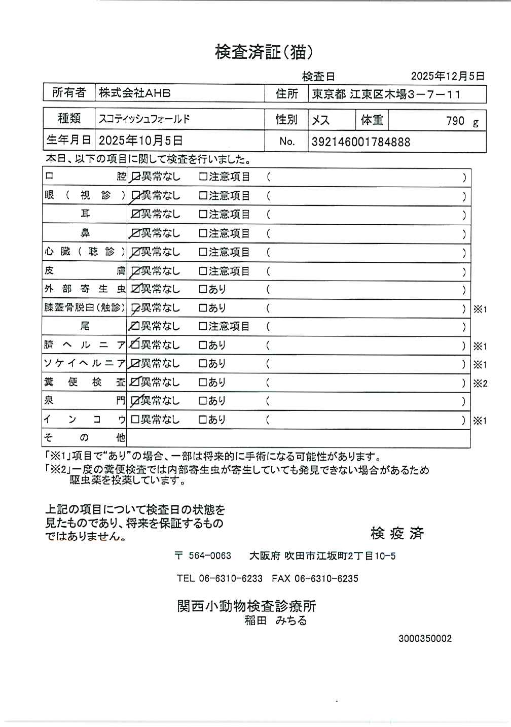 スコティッシュフォールド