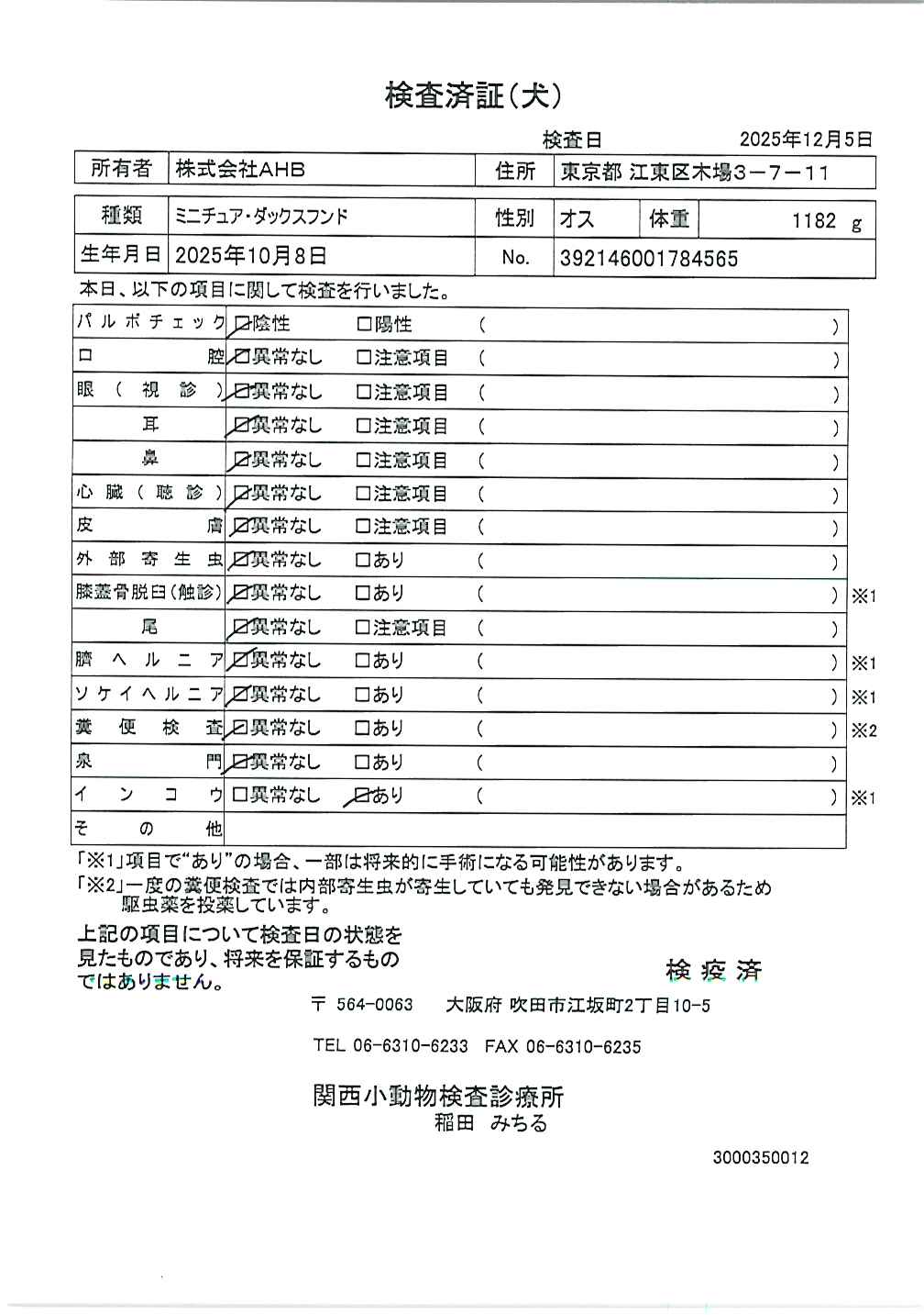 ミニチュア・ダックスフンド