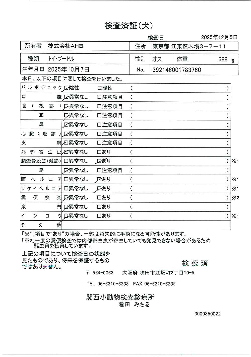 トイ・プードル