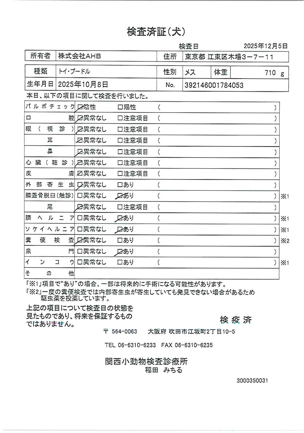 トイ・プードル