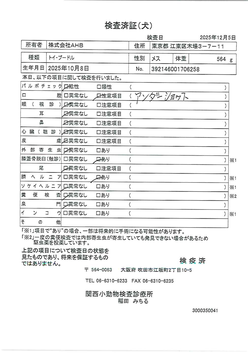 トイ・プードル