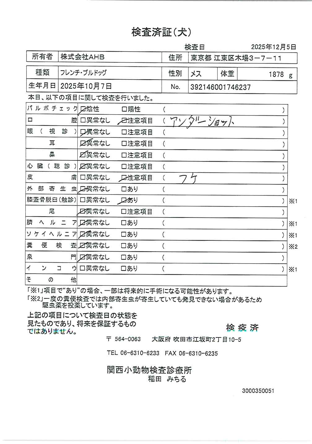 フレンチ・ブルドッグ
