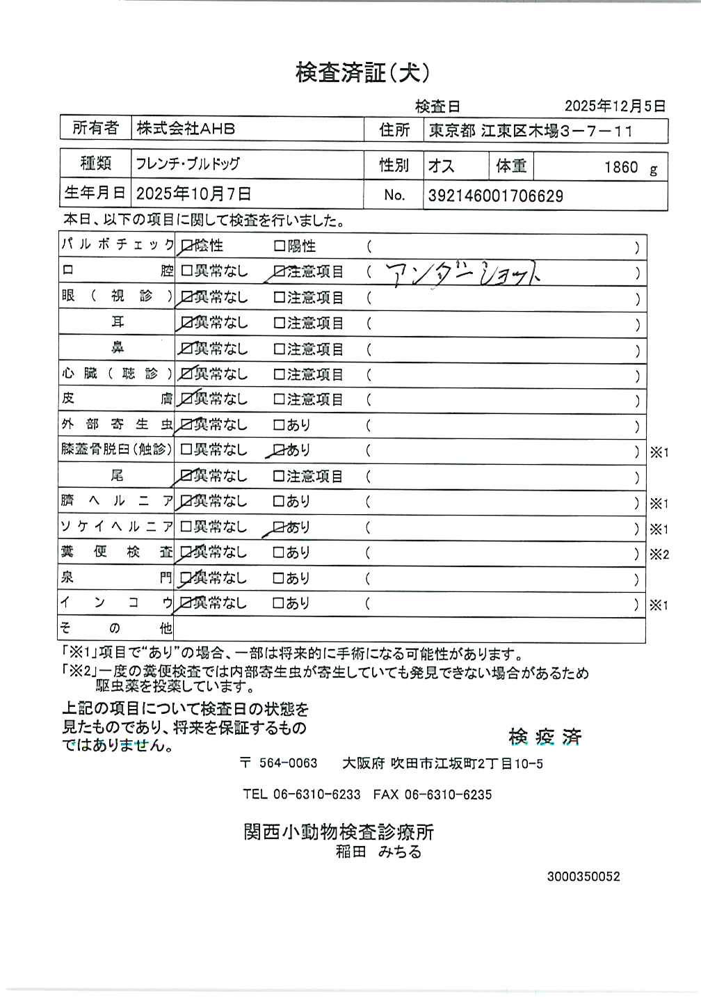 フレンチ・ブルドッグ