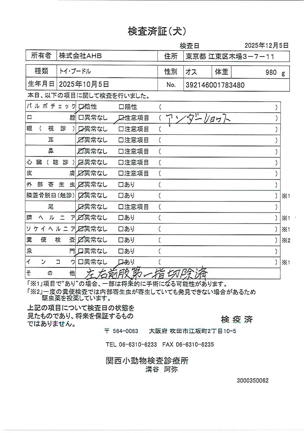 トイ・プードル