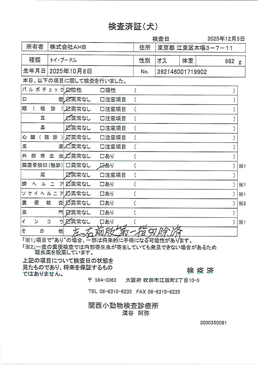 トイ・プードル