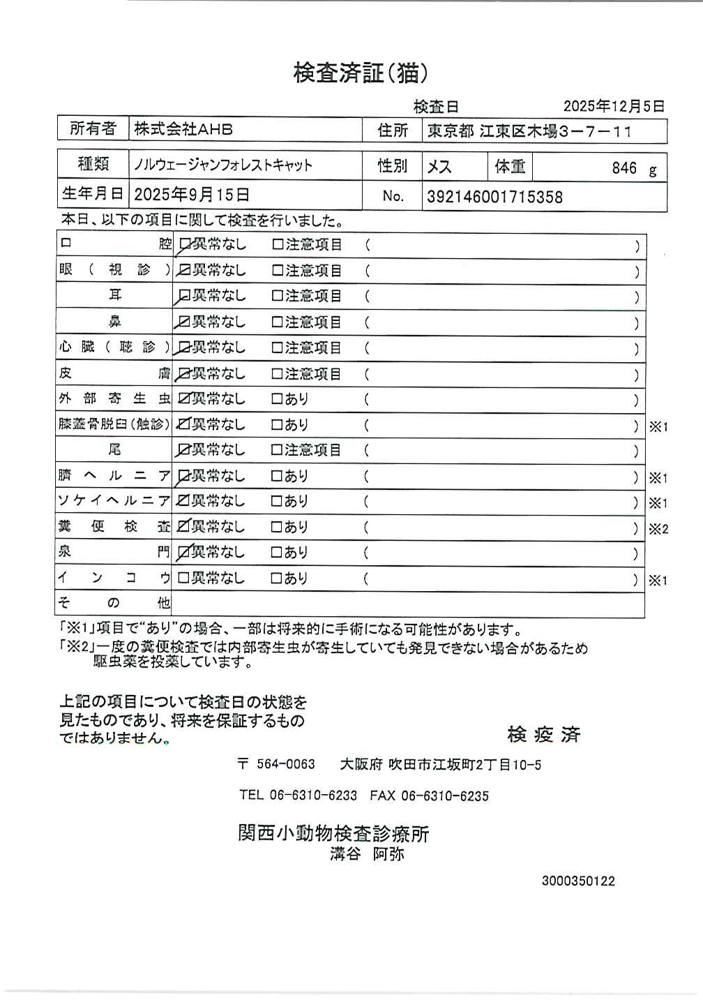 ノルウェージャンフォレストキャット