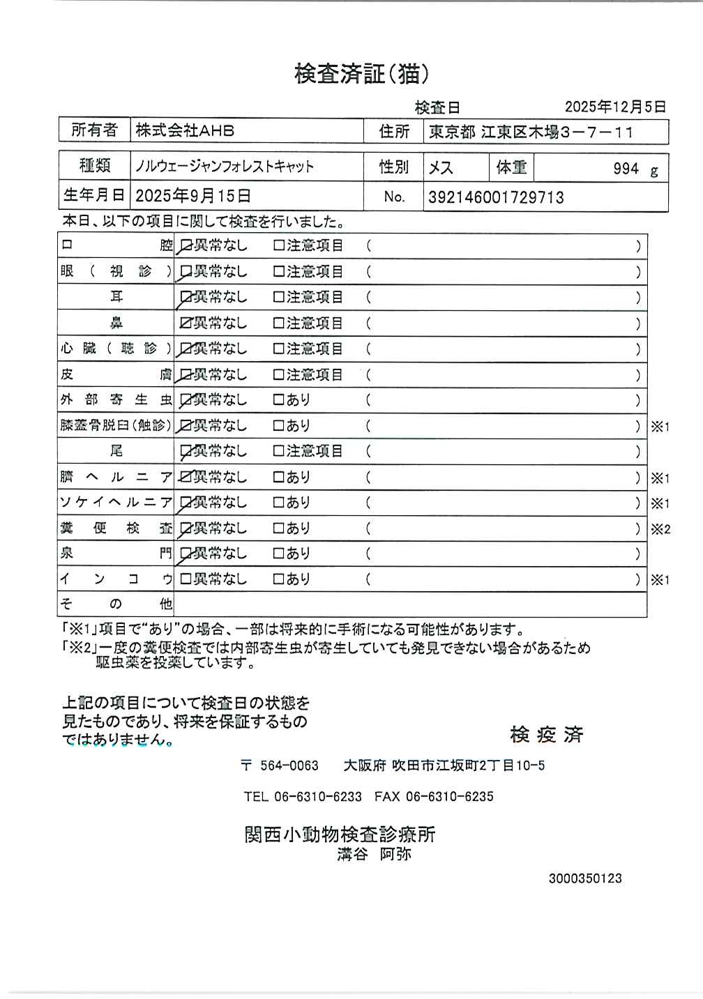 ノルウェージャンフォレストキャット