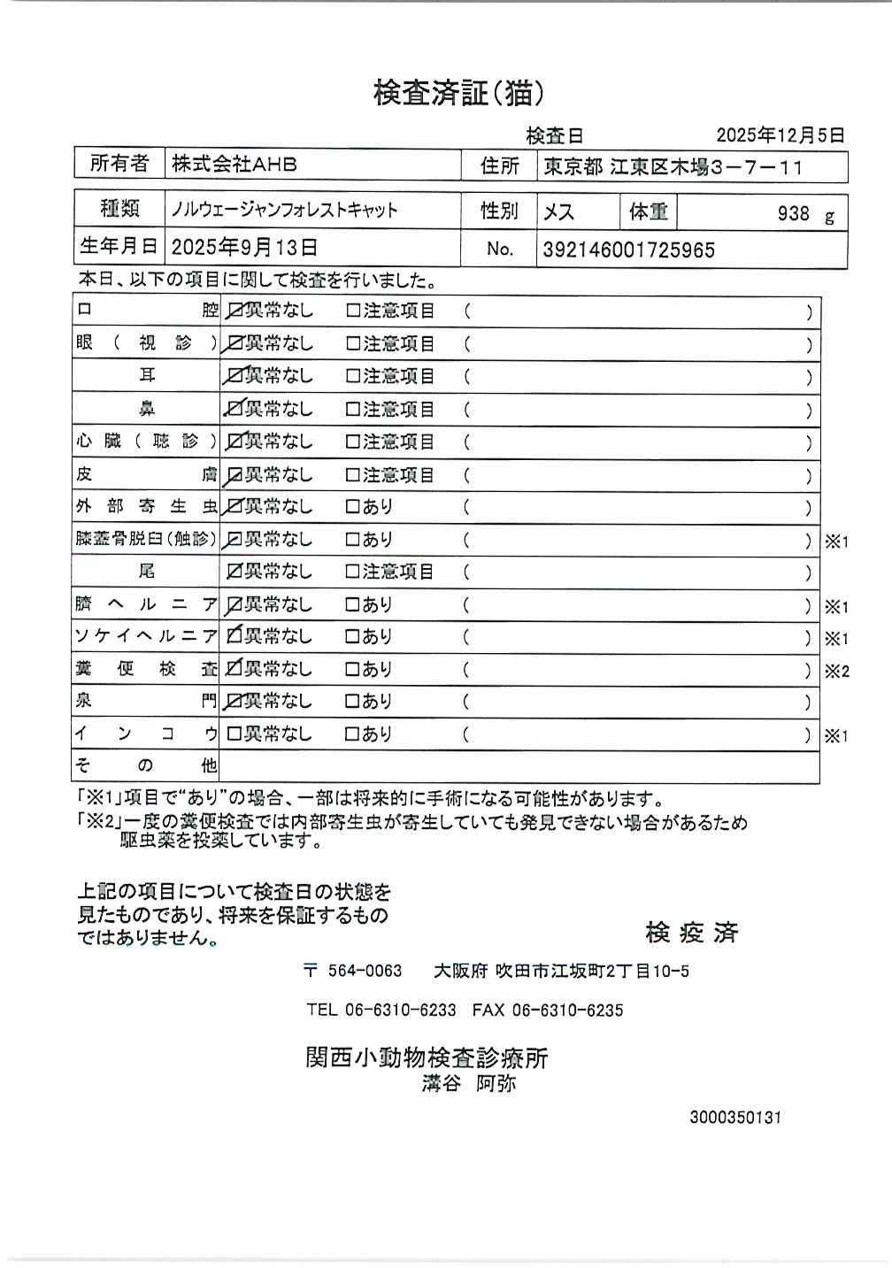 ノルウェージャンフォレストキャット