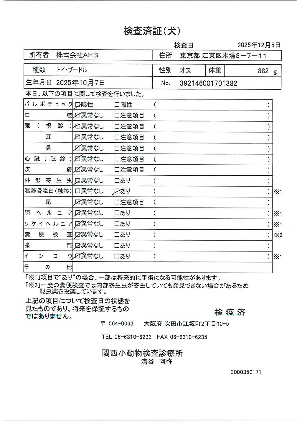 トイ・プードル