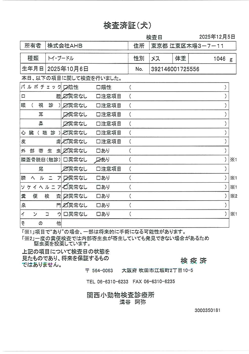 トイ・プードル