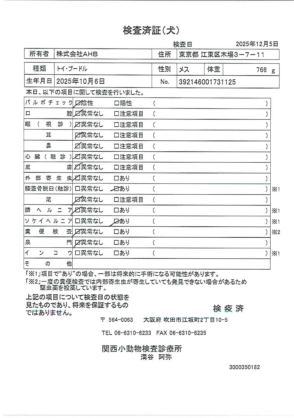 トイ・プードル