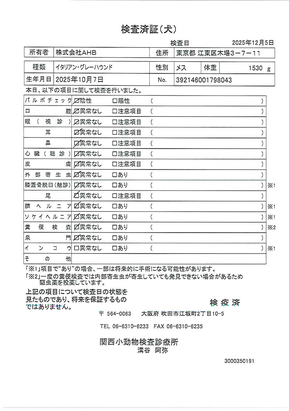 イタリアン・グレーハウンド