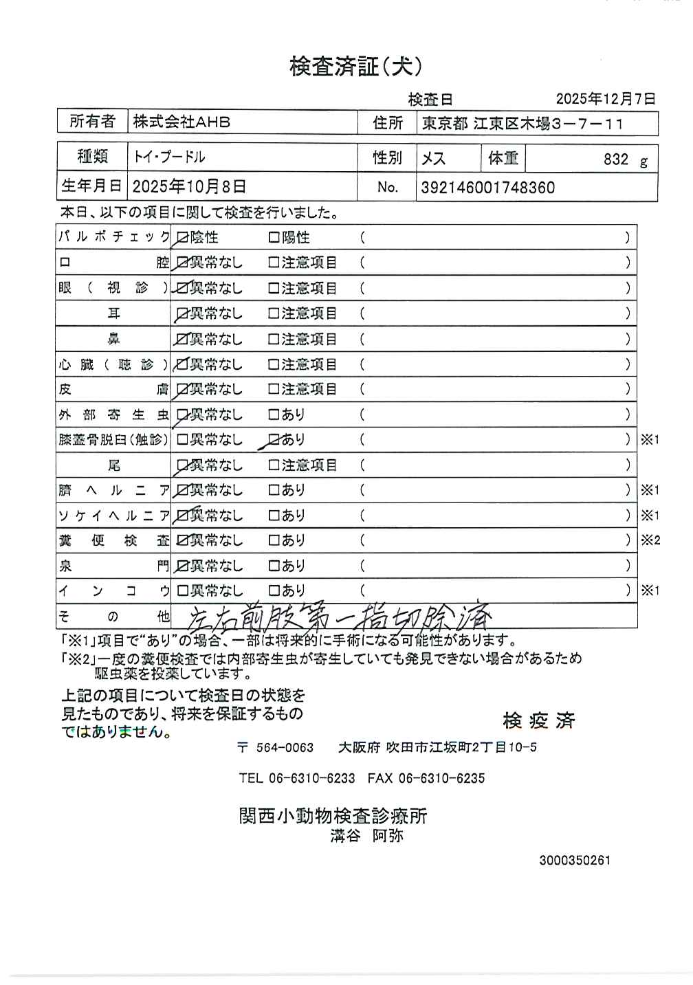 トイ・プードル