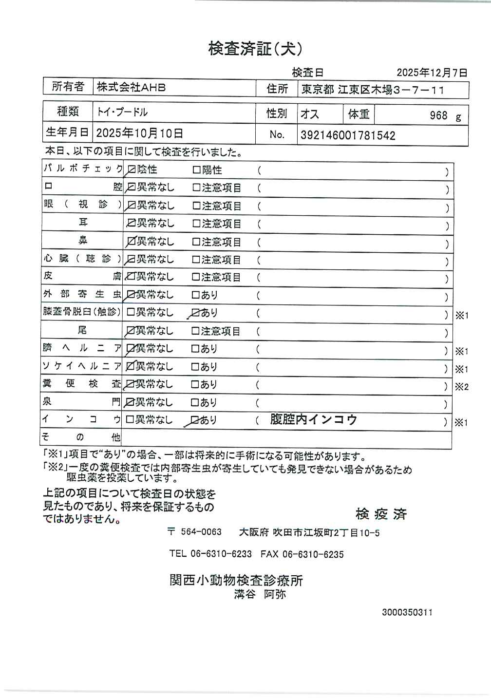 トイ・プードル