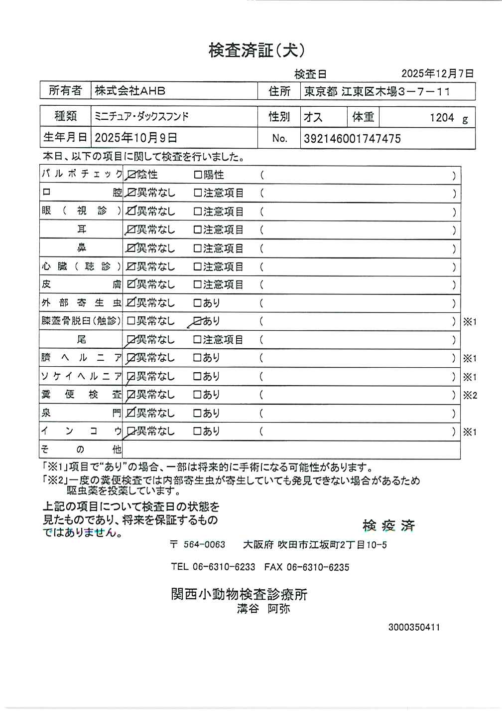 ミニチュア・ダックスフンド