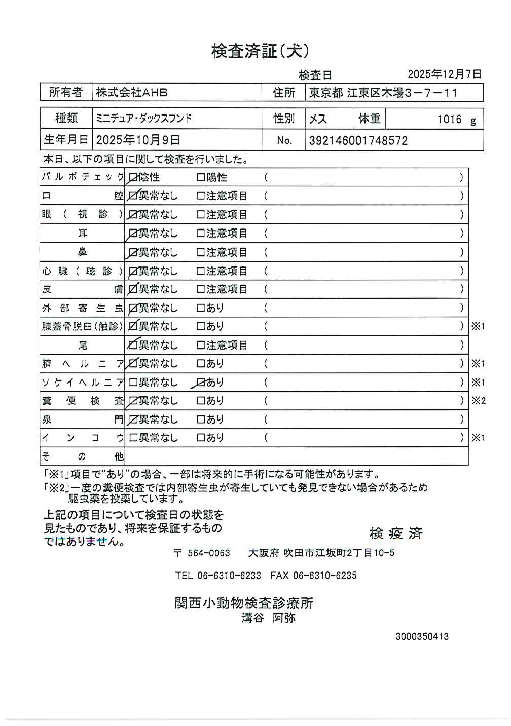 ミニチュア・ダックスフンド