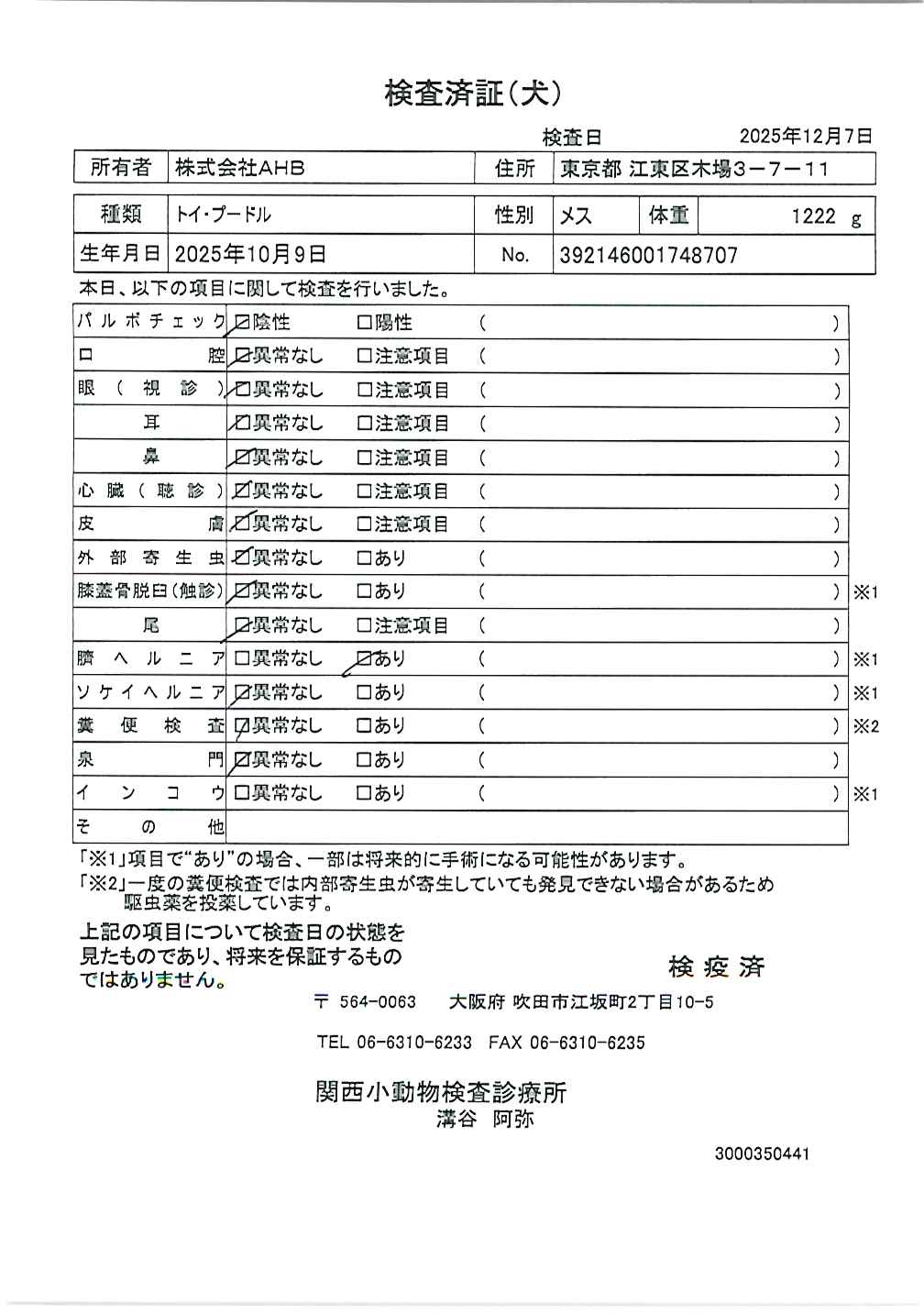 トイ・プードル