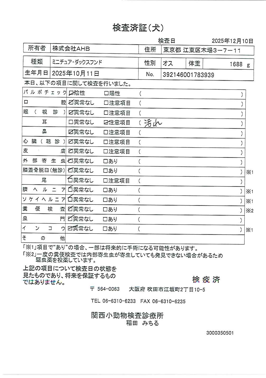 ミニチュア・ダックスフンド