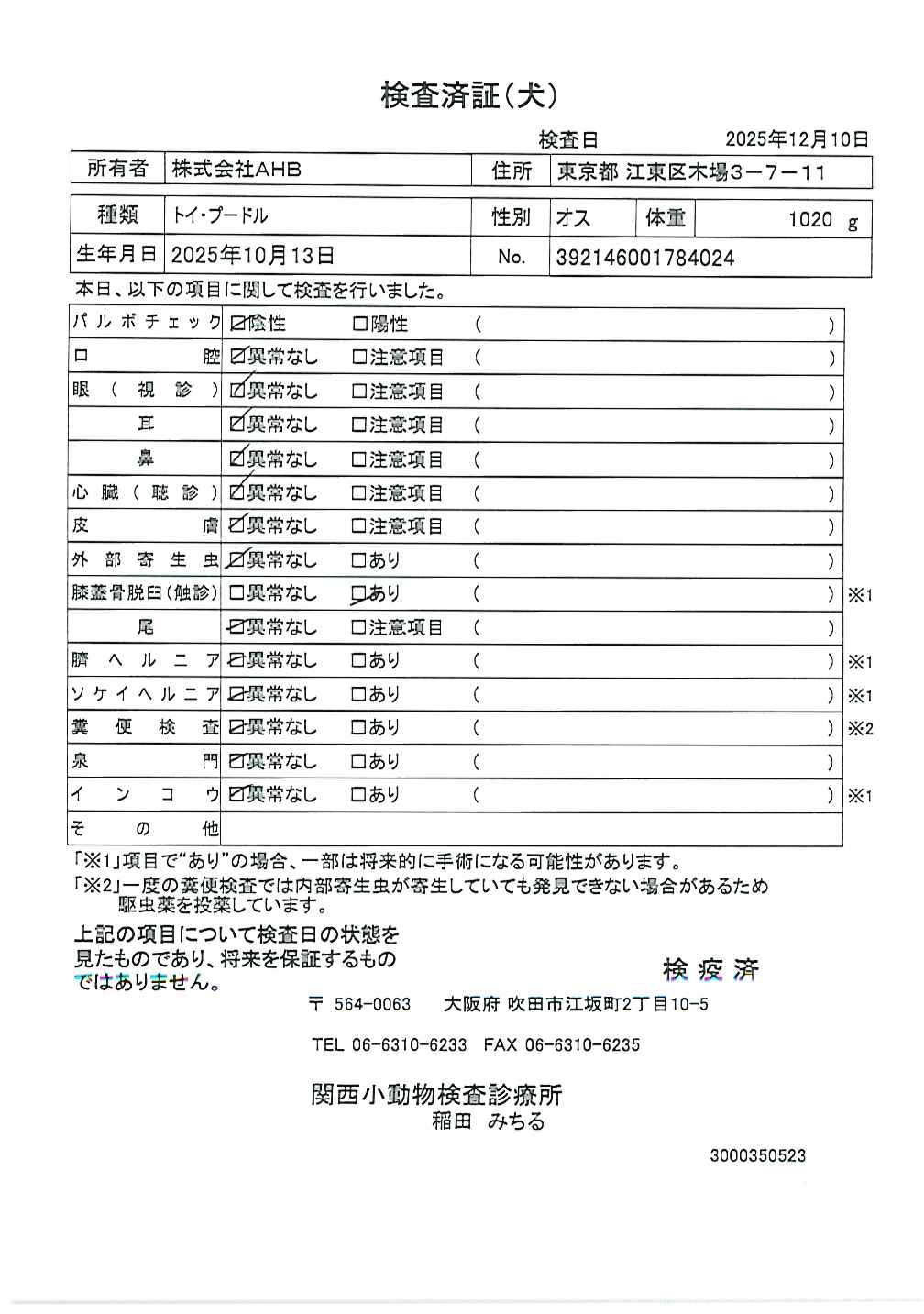 トイ・プードル