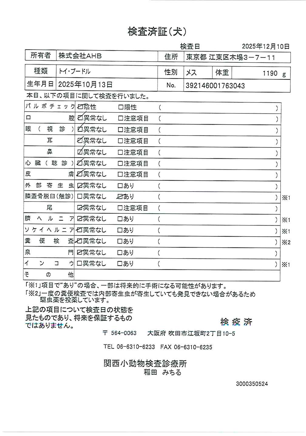 トイ・プードル