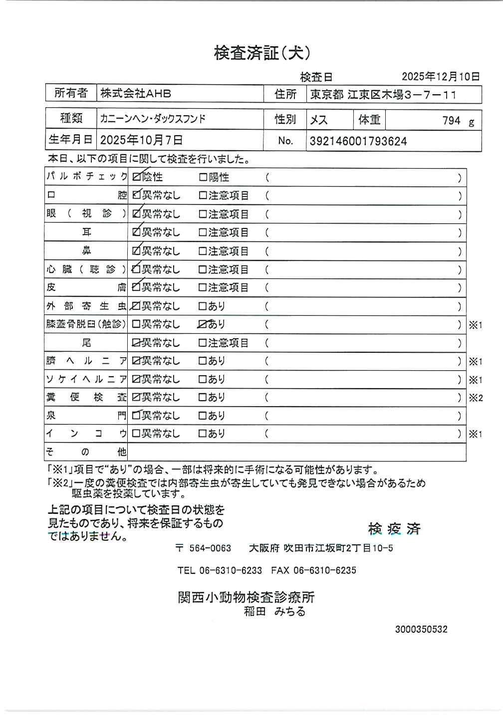 カニーンヘン・ダックスフンド