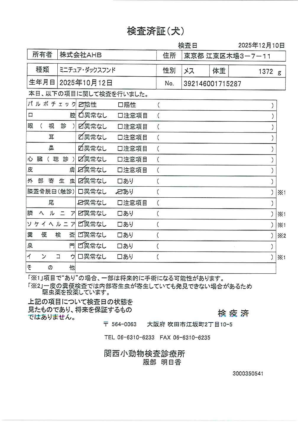 ミニチュア・ダックスフンド