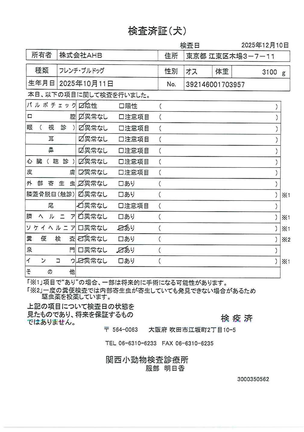フレンチ・ブルドッグ