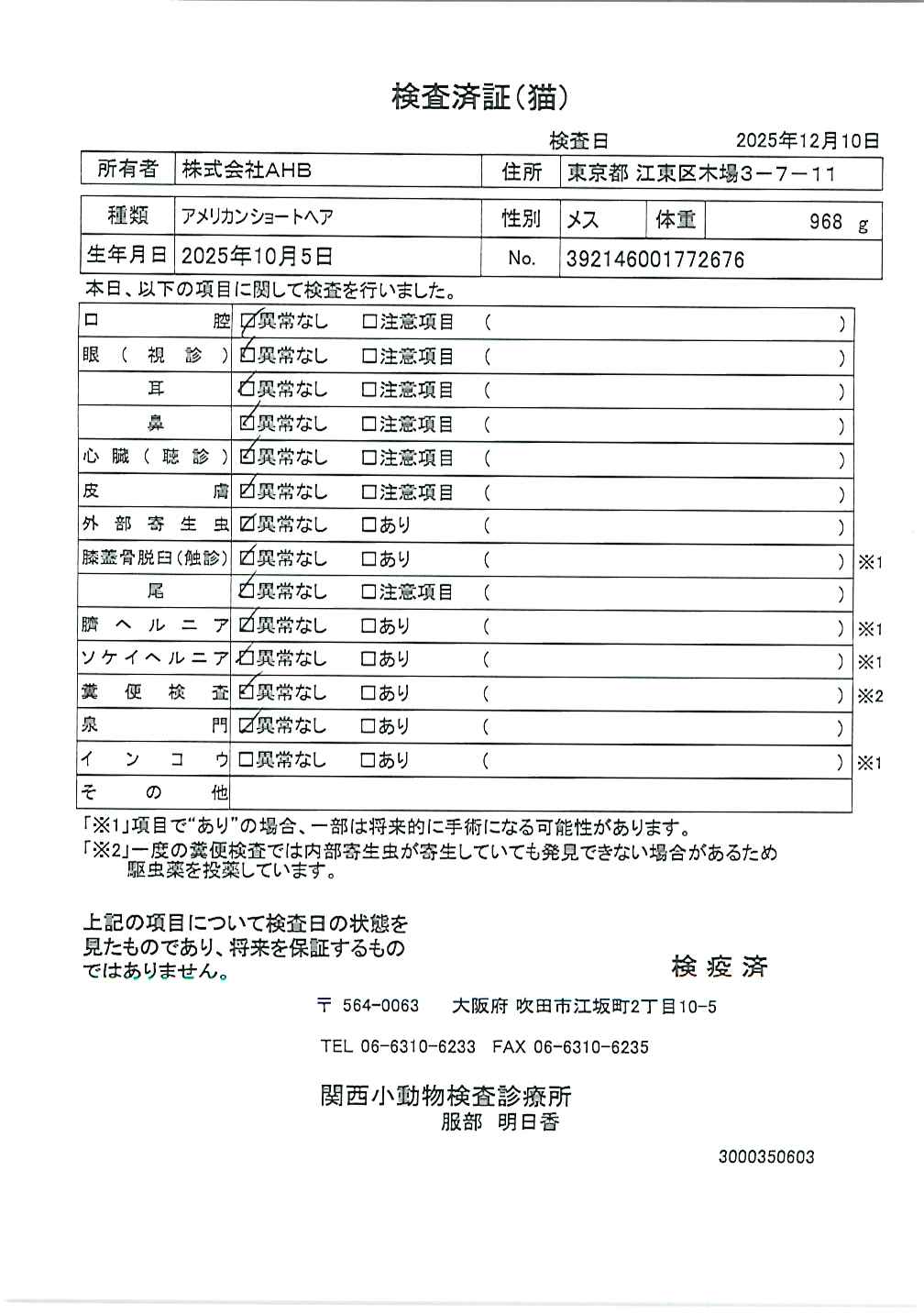 アメリカンショートヘア