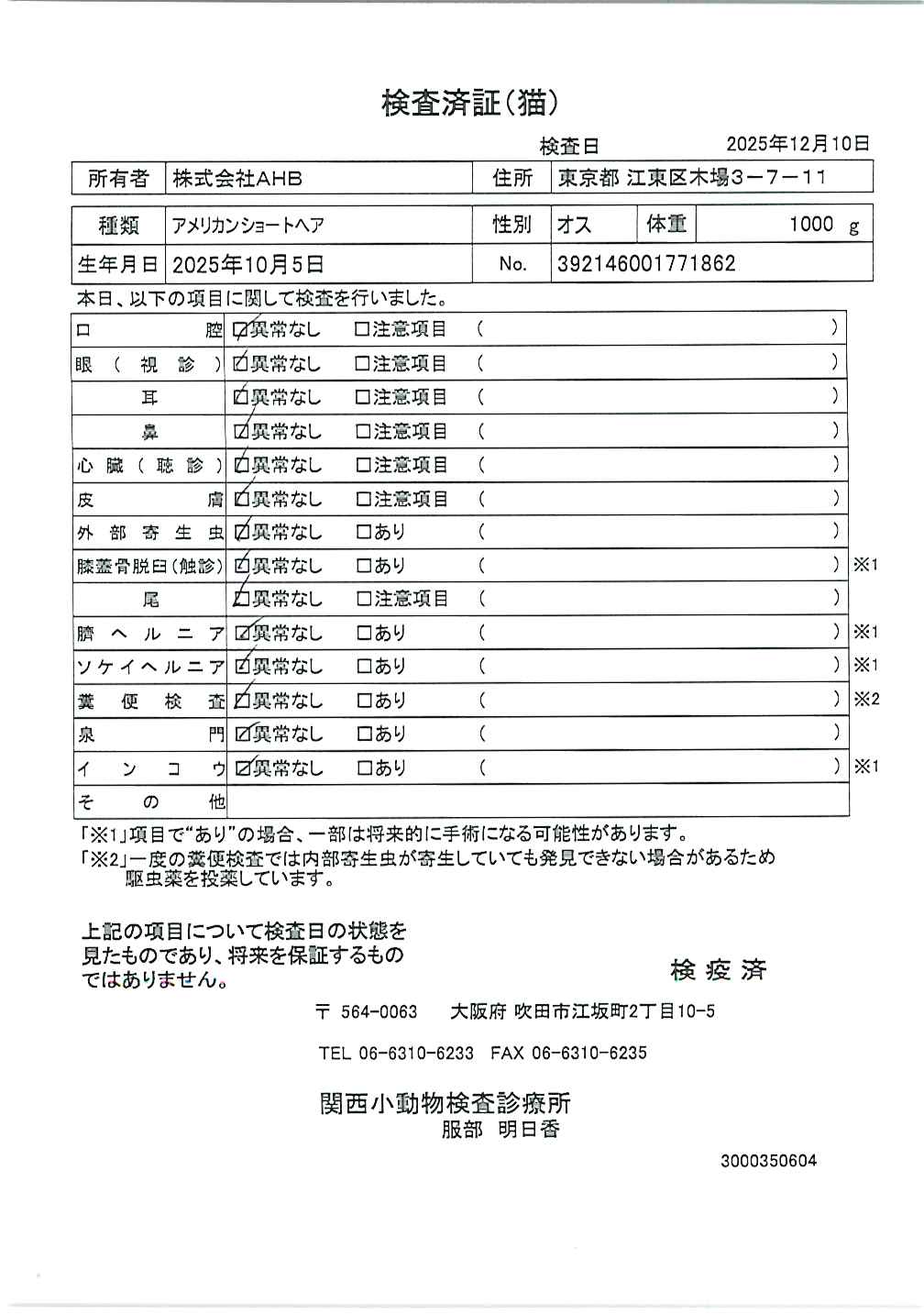 アメリカンショートヘア