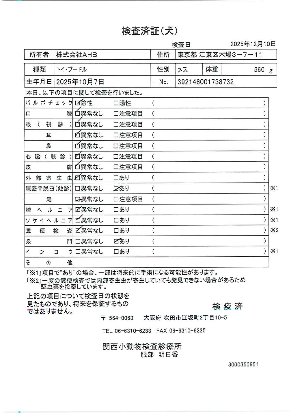 トイ・プードル