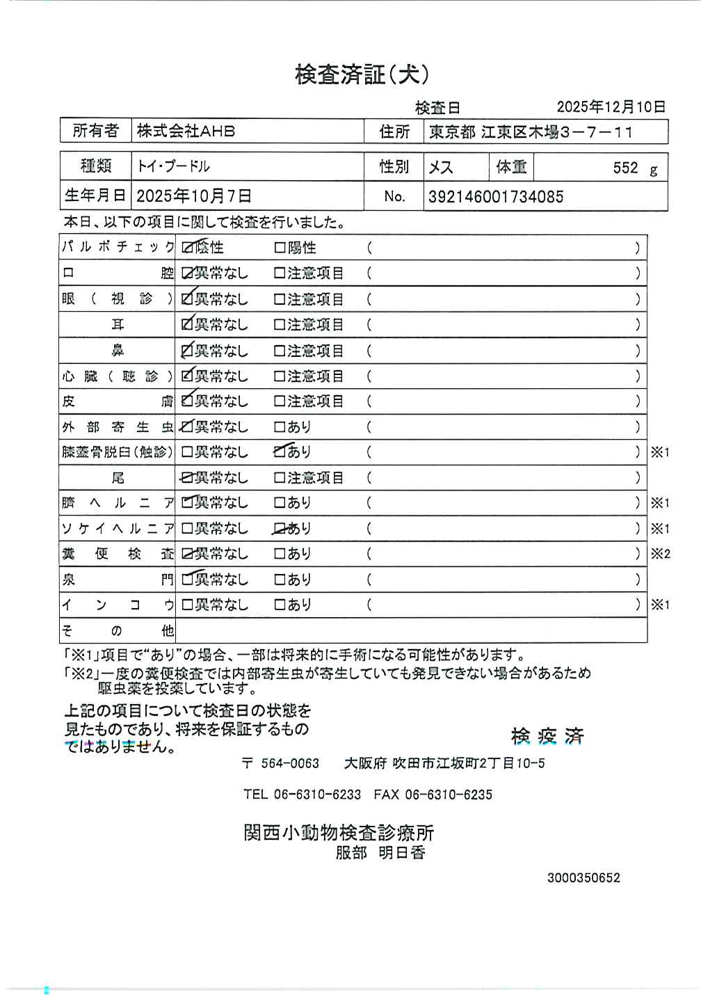 トイ・プードル