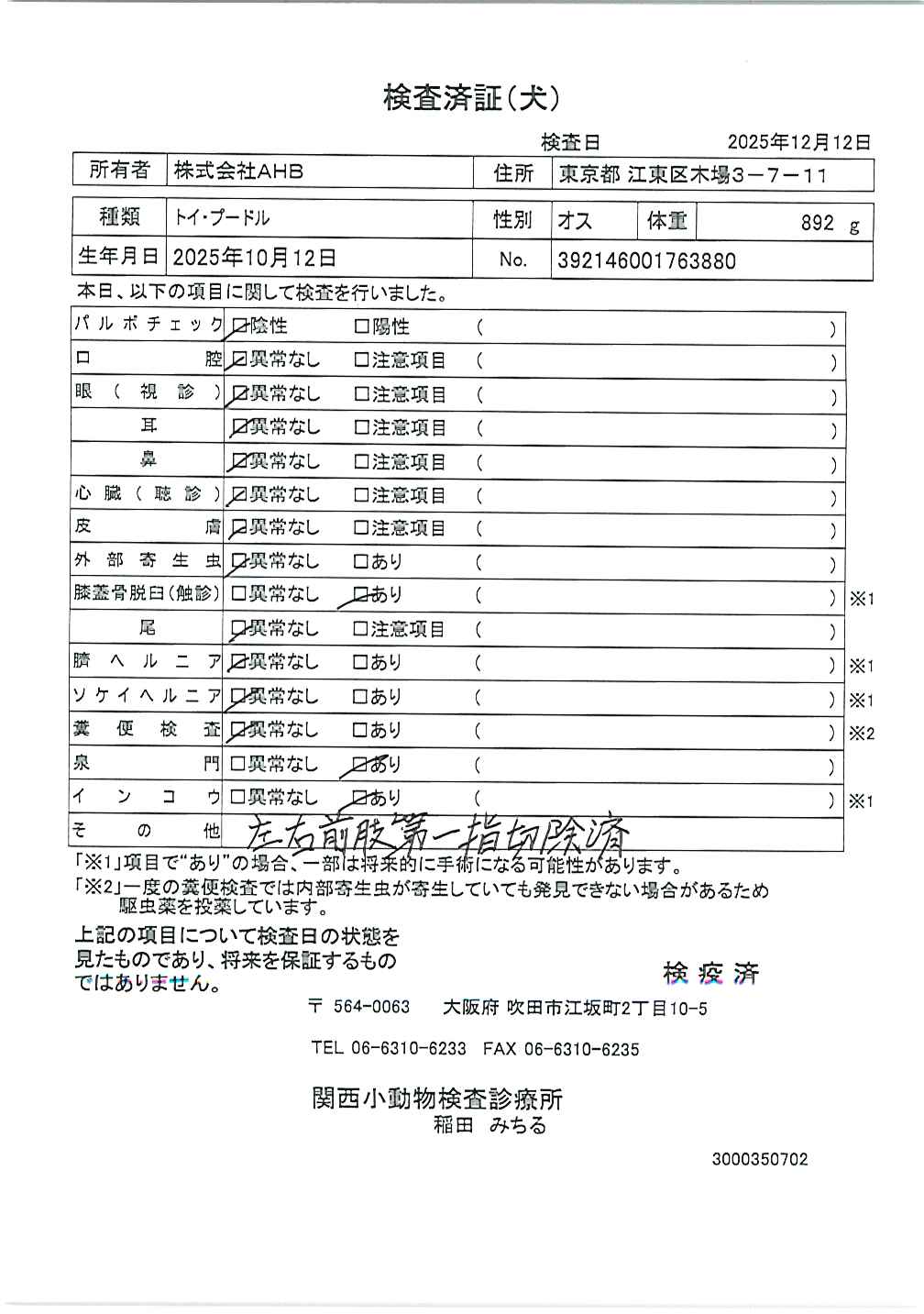 トイ・プードル