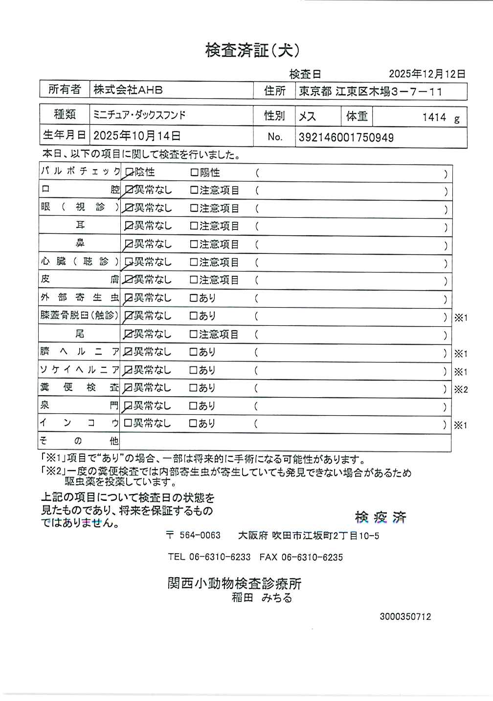 ミニチュア・ダックスフンド