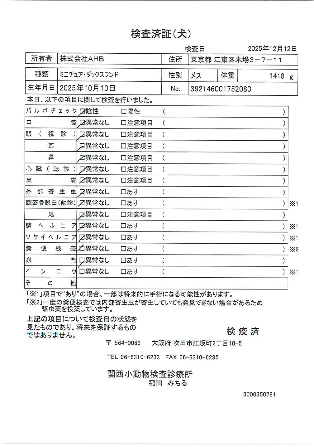 ミニチュア・ダックスフンド