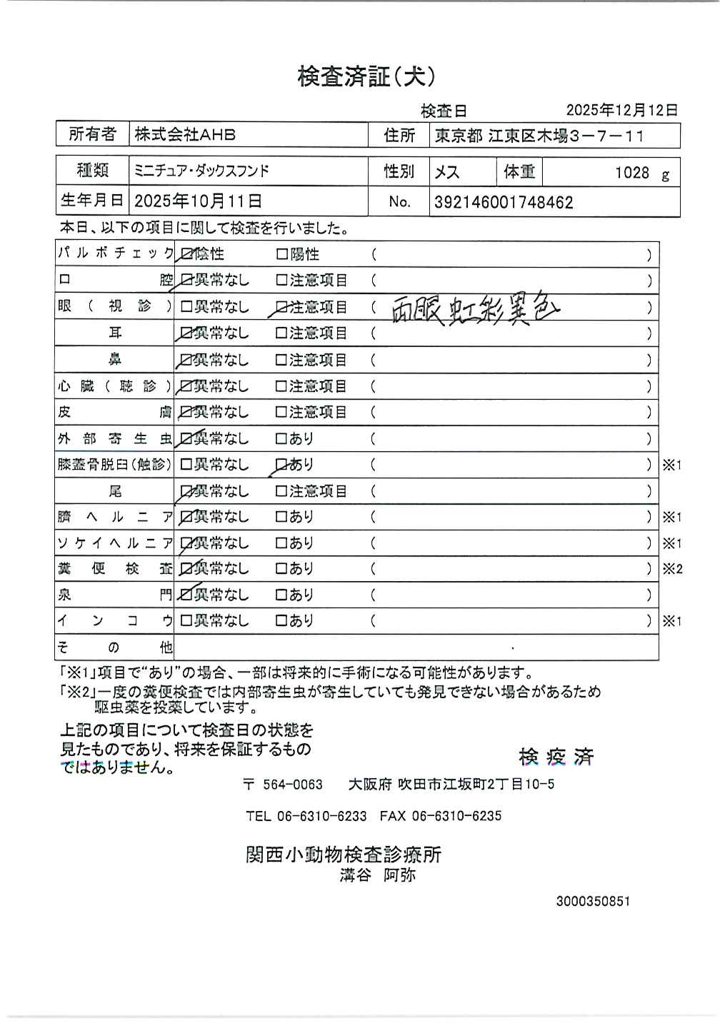 ミニチュア・ダックスフンド