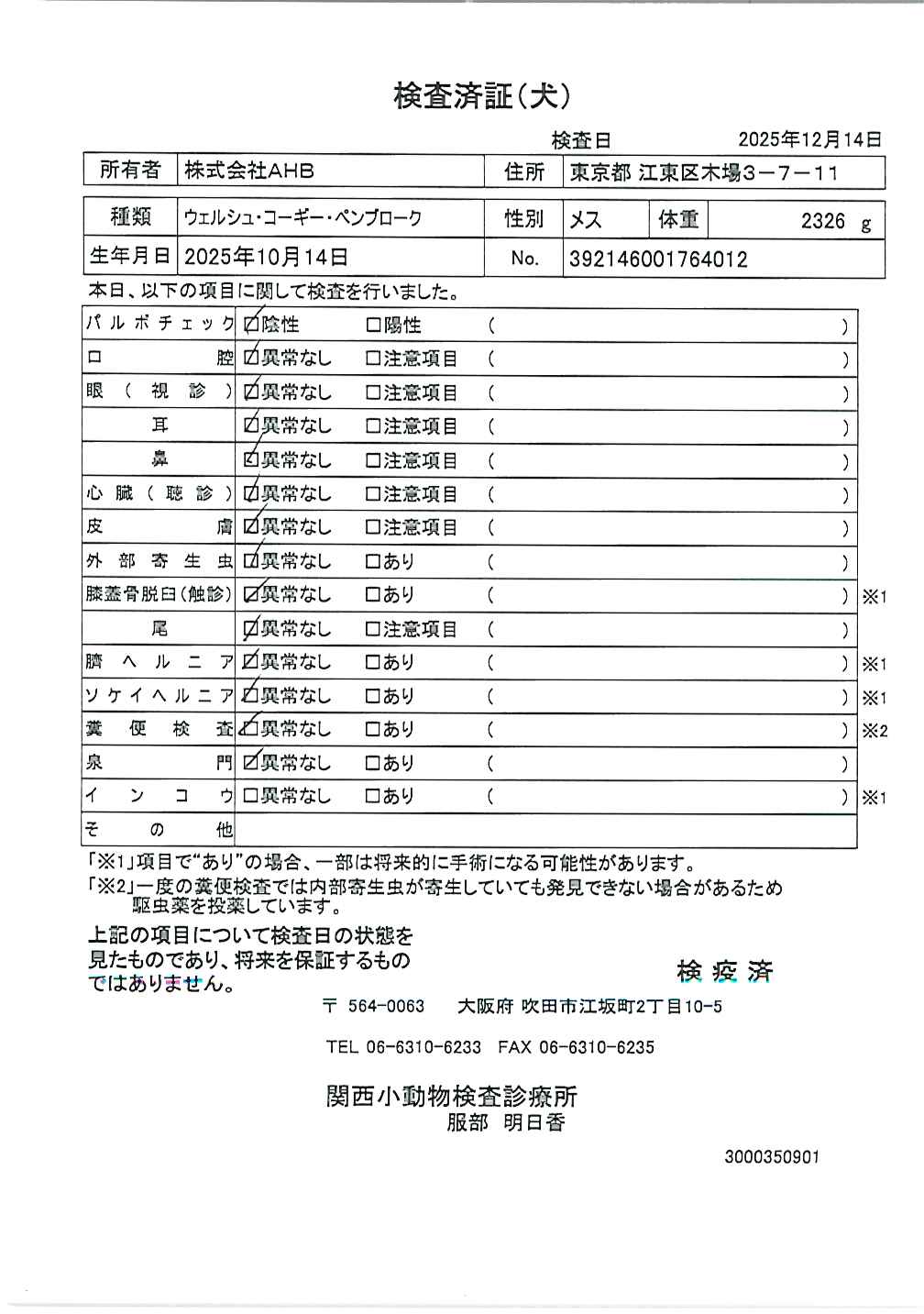 ウェルシュ・コーギー・ペンブローク