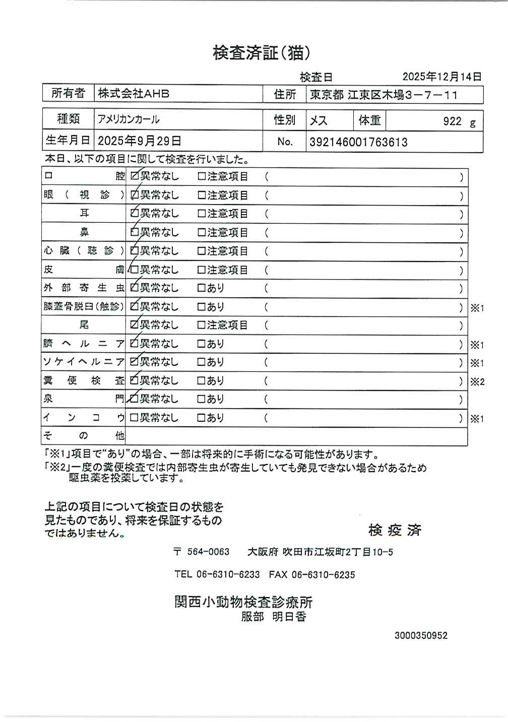 アメリカンカール