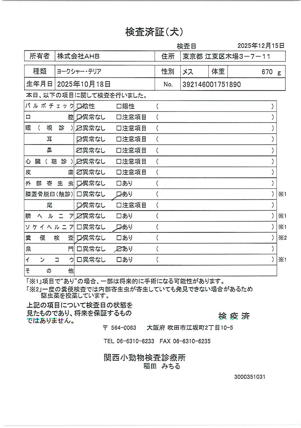 ヨークシャー・テリア