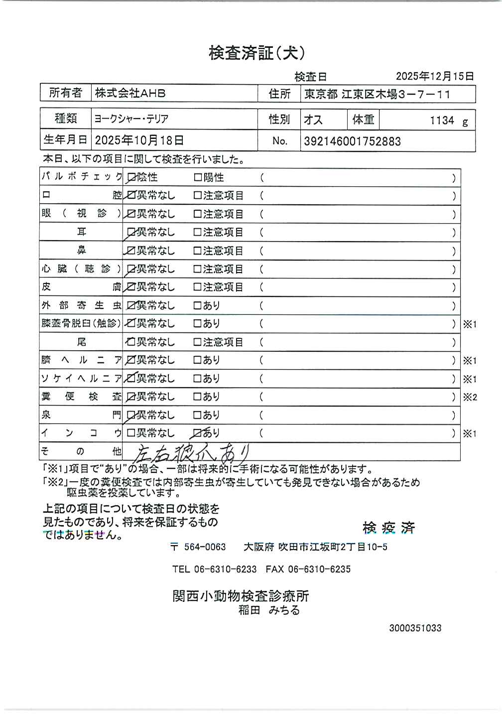 ヨークシャー・テリア