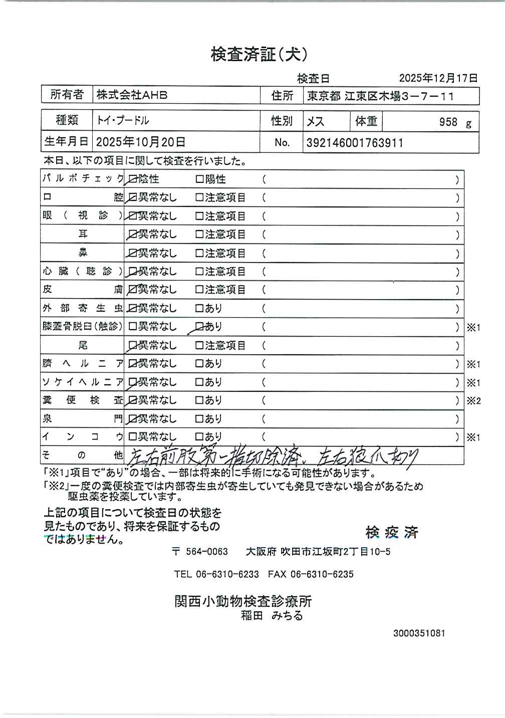 トイ・プードル