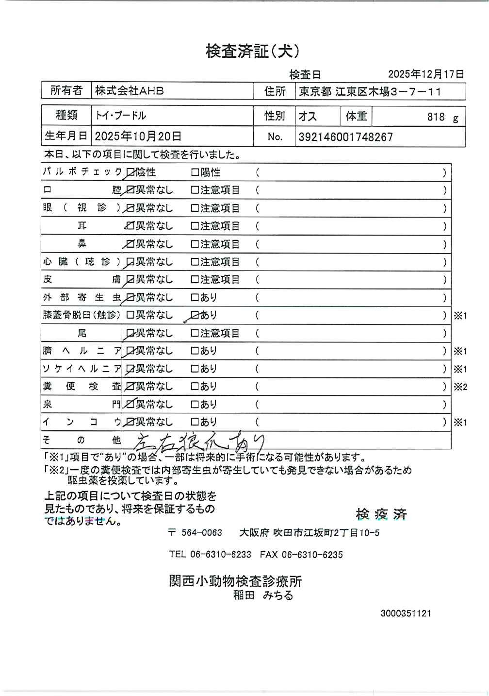 トイ・プードル