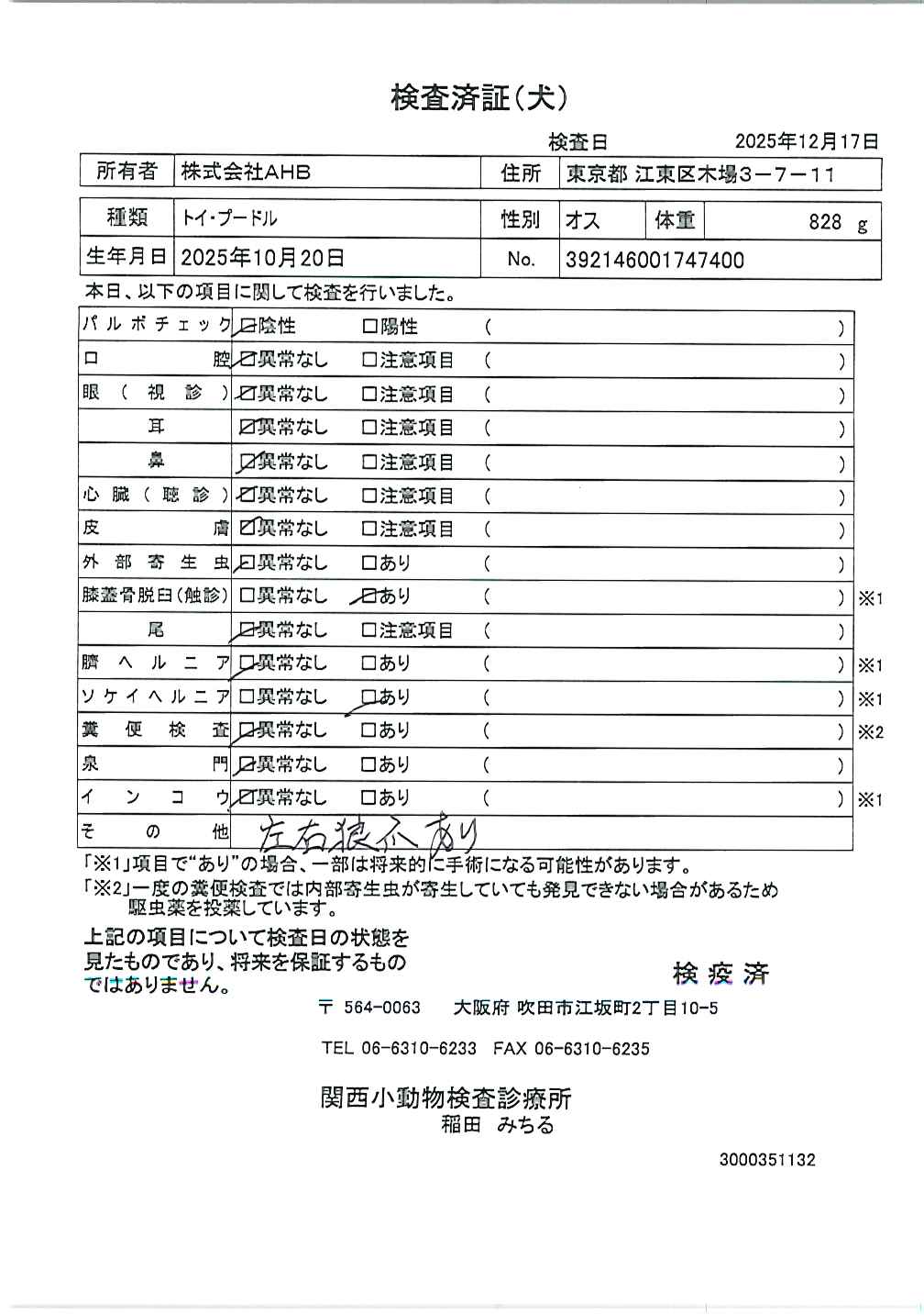 トイ・プードル