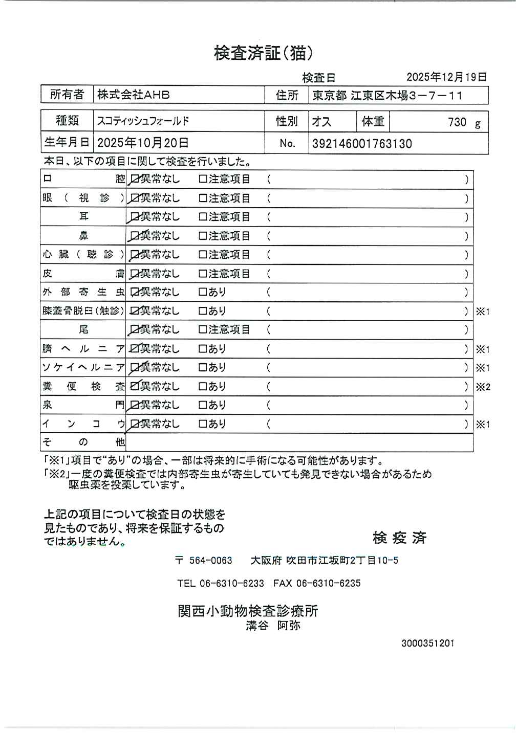 スコティッシュフォールド