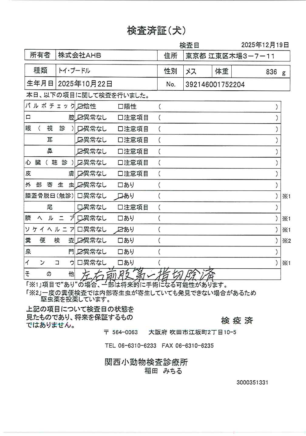 トイ・プードル