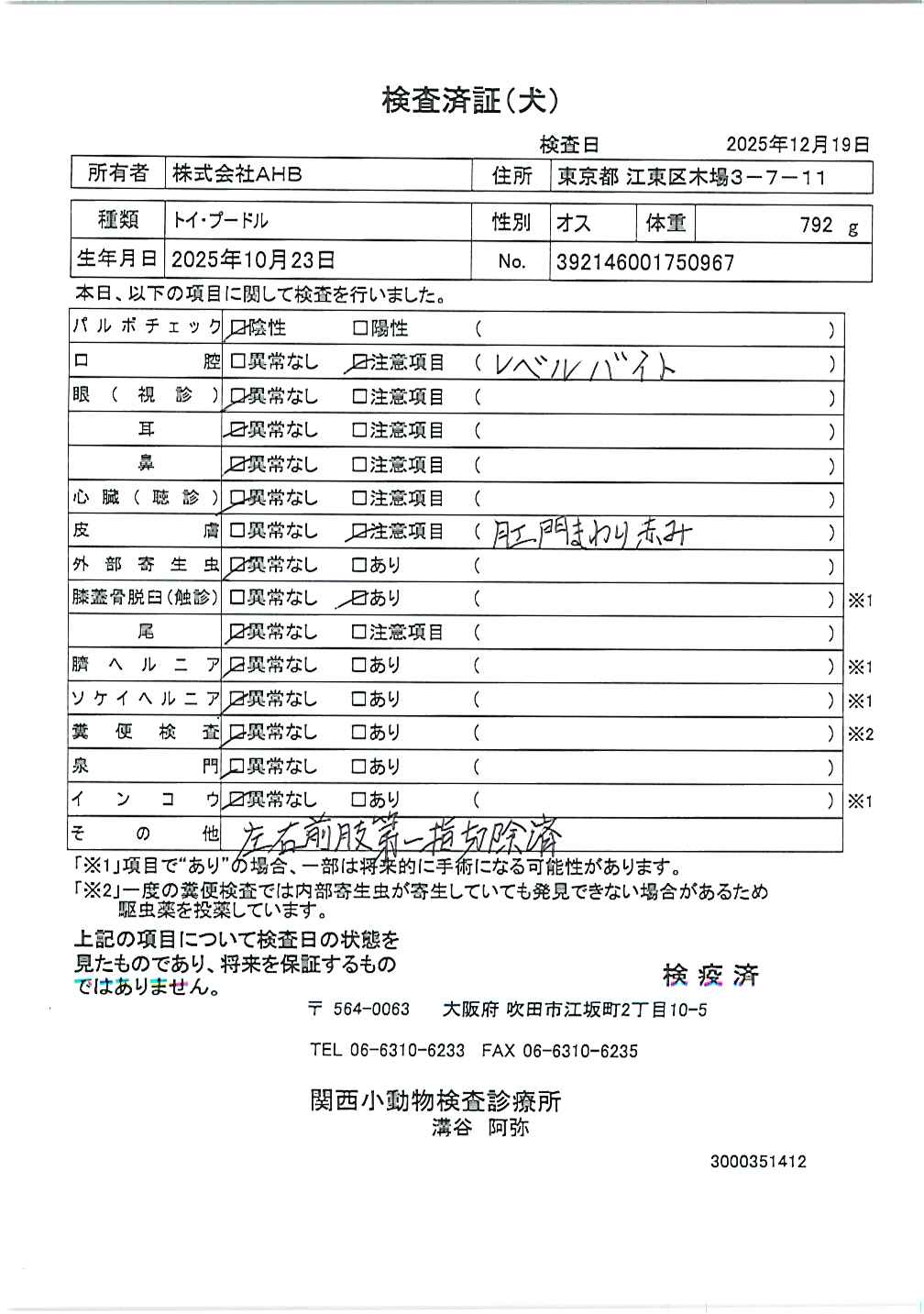トイ・プードル