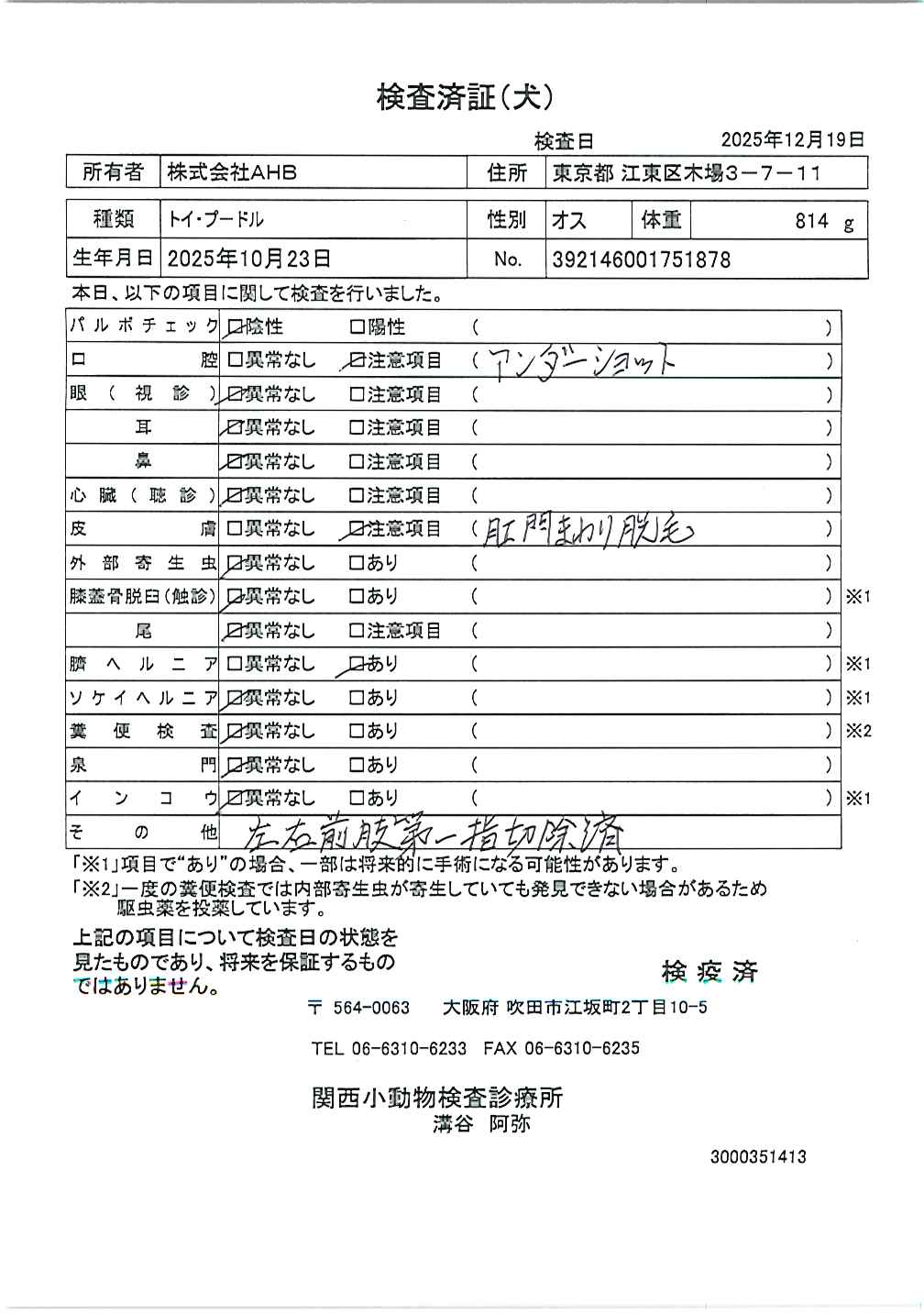 トイ・プードル